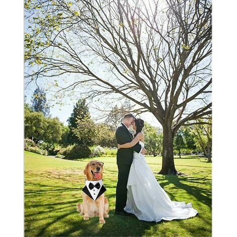 Formel Chien Smoking Bandana Chien De Mariage Bandana Collier De Chien  Noeud Papillon Réglable Petit