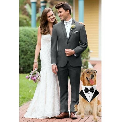 Formel Chien Smoking Bandana Chien De Mariage Bandana Collier De Chien  Noeud Papillon Réglable Petit