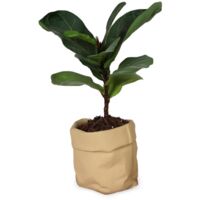 Pot en céramique monobloc – avec trous de drainage, convient aux cactus et aux plantes succulentes pot de fleurs d'extérieur en céramique aménagement paysager minimaliste texture papier kraft.