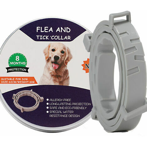 34 Hundehalsband-Ideen  hundehalsband, halsband, hunde