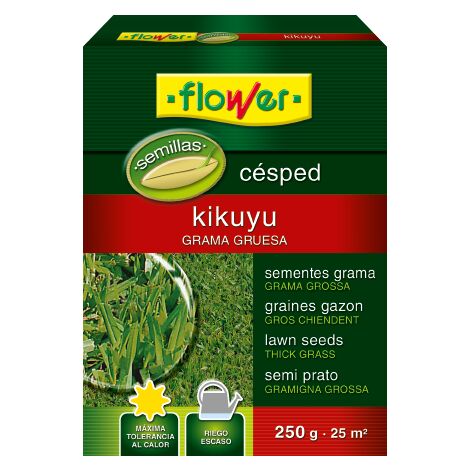 Graines de gazon Kikuyu 250 g – Résistant à la chaleur et à la sécheresse – Faible besoin en entretien – Pour espaces publics et jardins – Flower (1/3)