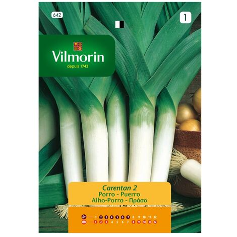 Graines d'Oignon Vertus VILMORIN 5gr – Comercial Mida