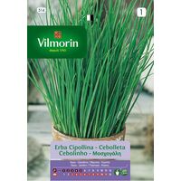 Graines d'oignon Vilmorin Ar»mes S-1 516, 1.5 gr