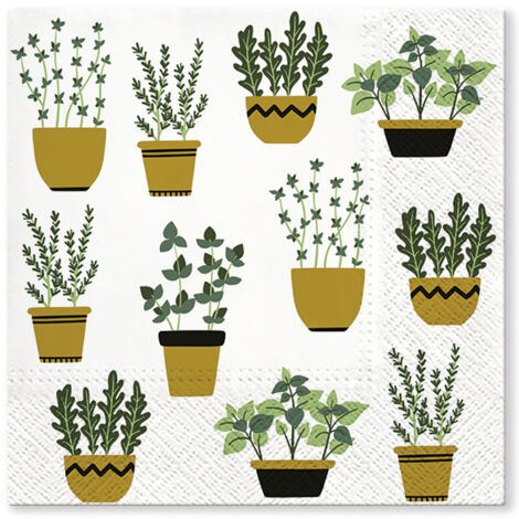 20 serviettes en papier 33 x 33 cm Plantes (1/2)