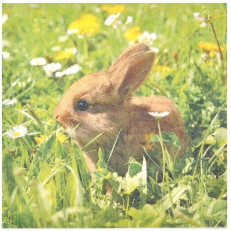 Lot de 20 serviettes en papier 33 x 33 cm Lapin (1/2)