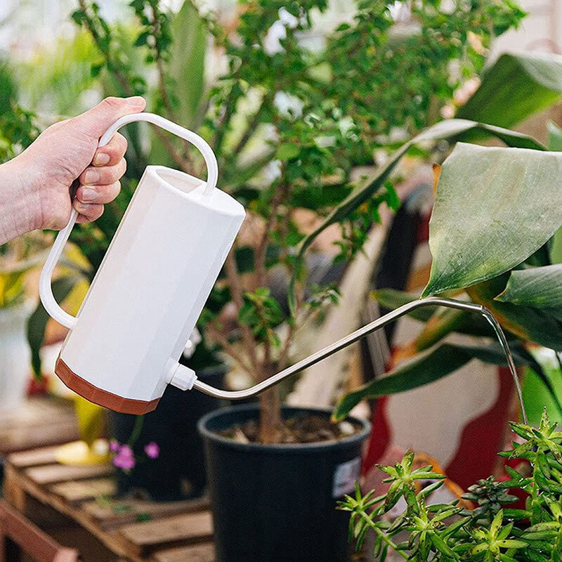 Arrosoir Plante Intérieur, 400ML Arrosoir en Acier Inoxydable pour