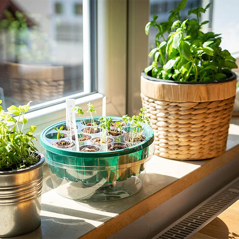 Mini serre de jardin pliable champignon sac de culture pour toits potager