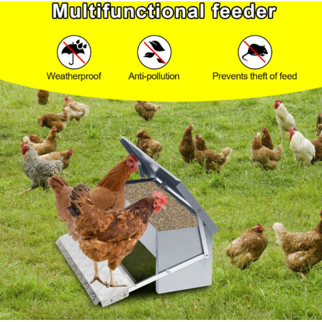 Mangeoire à Poules COSTWAY XXL 22kg - Distributeur Automatique Mural Galvanisé - Anti-rongeurs Et Intempéries