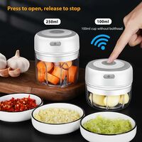Electric Meat Grinder,250ML Cordless Electric Meat Grinder Mini Portable Blender with 3 Sharp Blades