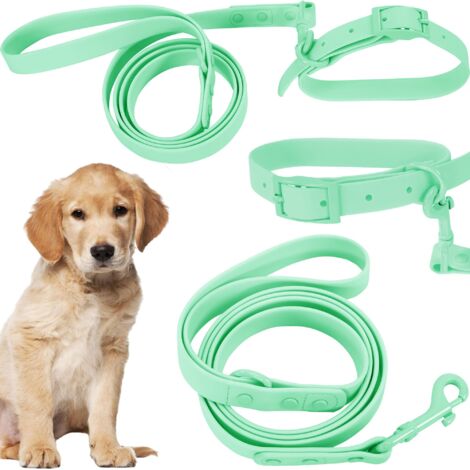 LAISSE ET COLLIER POUR CHIEN PJ-073 GREEN M (1/5)