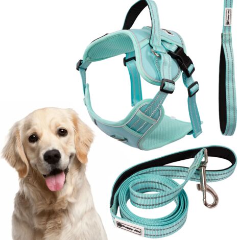 LAISSE ET HARNAIS POUR CHIEN PJ-065 GREEN XL (1/5)