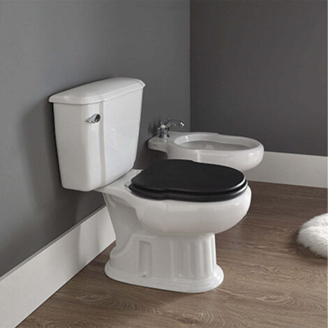 SANITANA GRECIA Inodoro Completo Blanco - Asiento: Madera Cerezo - Desagüe: AL SUELO - ref: S10103500000000+S10070366800000+S80006820011300