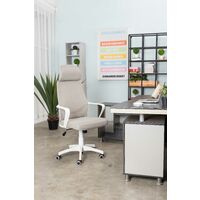 Futurefurniture® office chair, ergonomic office chair, 150 kg office chair, ergonomic office chair, office chair executive chair (grey)
