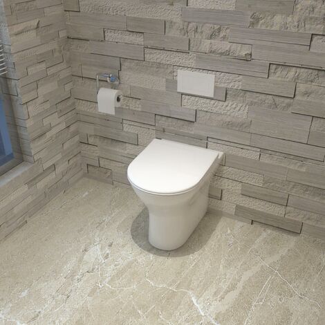 Biubiubath Back To Wall Round Toilet Ceramic Soft Close Seat Modern Bathroom BTW WC Pan