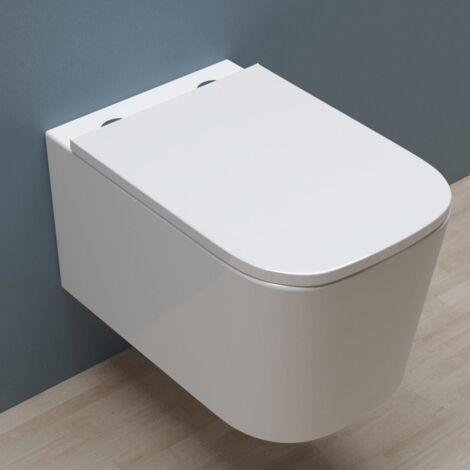 Biubiubath Rimless Wall Hung Toilet Pan WC and Soft Close Seat (1/3)