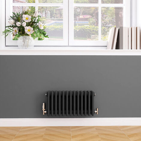 Biubiubath Traditional Cast Iron Style Radiator Horizontal 4 Column Anthracite 300x605mm (1/5)