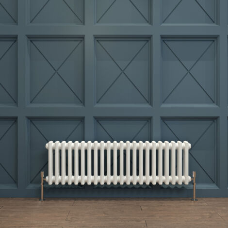 Biubiubath Traditional Cast Iron Radiator 300x1010mm 2 Column White (1/5)