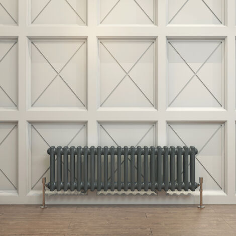 Biubiubath Traditional Cast Iron Radiator 300x1010mm 2 Column Anthracite (1/5)