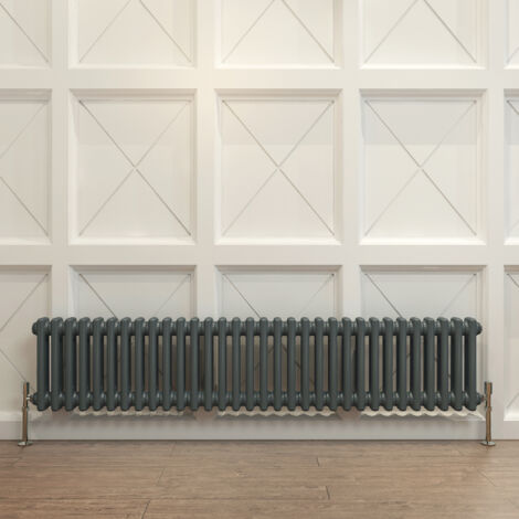 Biubiubath Traditional Cast Iron Radiator 300x1460mm 2 Column Anthracite (1/5)