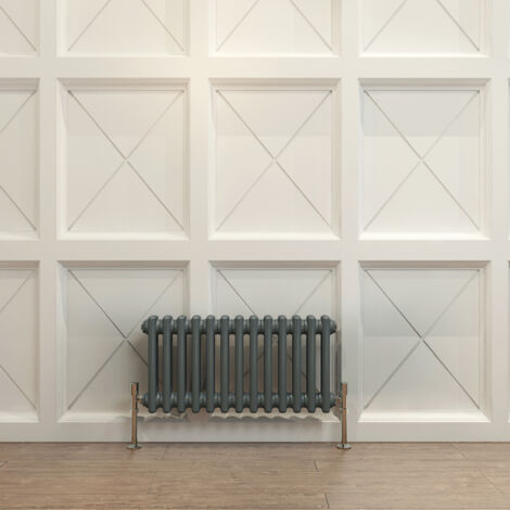 Biubiubath Traditional Cast Iron Radiator 300x605mm 2 Column Anthracite (1/5)