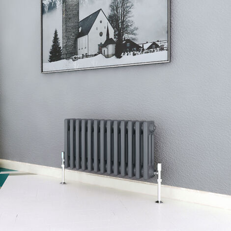 Biubiubath Traditional Cast Iron Radiator 300x605mm 3 Column Anthracite (1/5)
