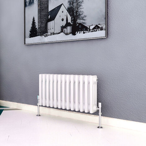 Biubiubath Traditional Cast Iron Radiator 300x605mm 3 Column White (1/5)