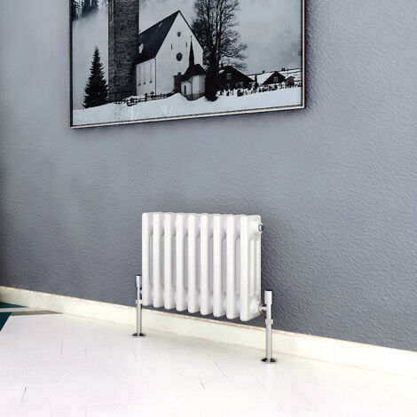 Biubiubath Traditional Cast Iron Radiator 300x425mm 3 Column White (1/5)