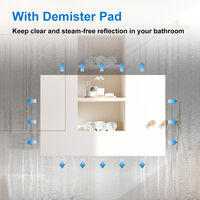 Wall Mounted Illuminated LED Bathroom Mirror with Lights 900 x 700mm Sensor Touch with Demister Pad
