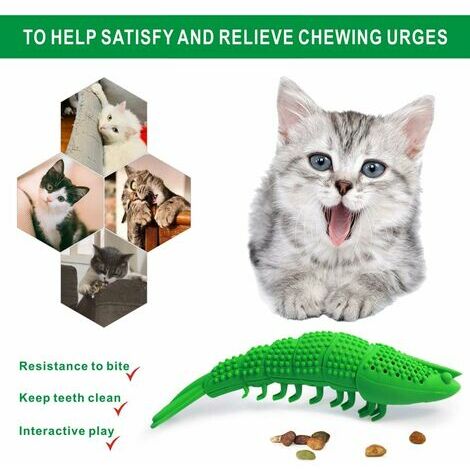 Interaktives Katzenspielzeug Kätzchen Katzenminze Zahnbürste Kauen Zähne Reinigung Zahnpflege 2 Stück