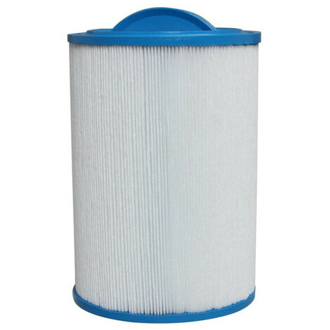 Filtre spa AR35 Gota Pure compatible Artesian spa (1/3)