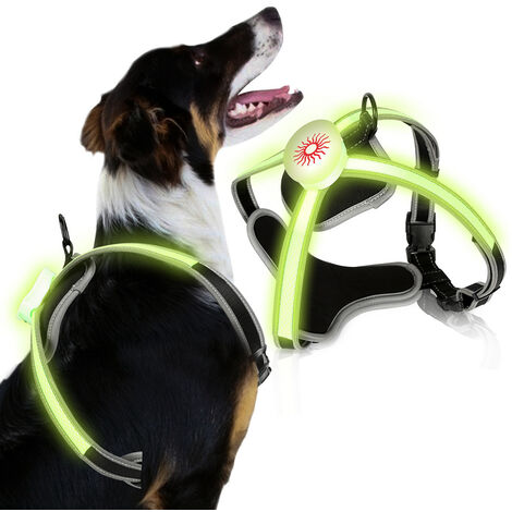 Harnais pour chien LED Réglable Harnais pour chiot Respirant Harnais pour  chien S