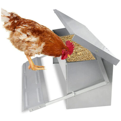 Mangeoire automatique pour poules pas cher