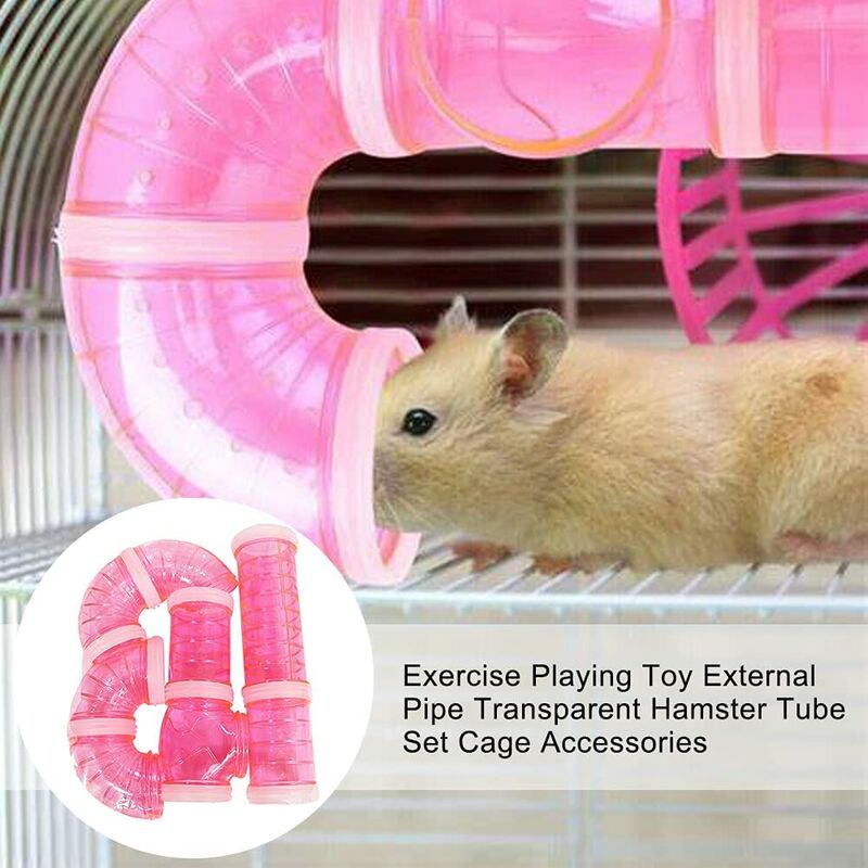 Hamster in hot sale tube