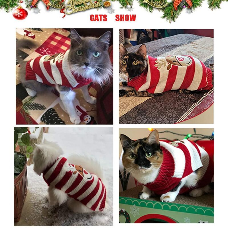 Cat sales christmas jacket