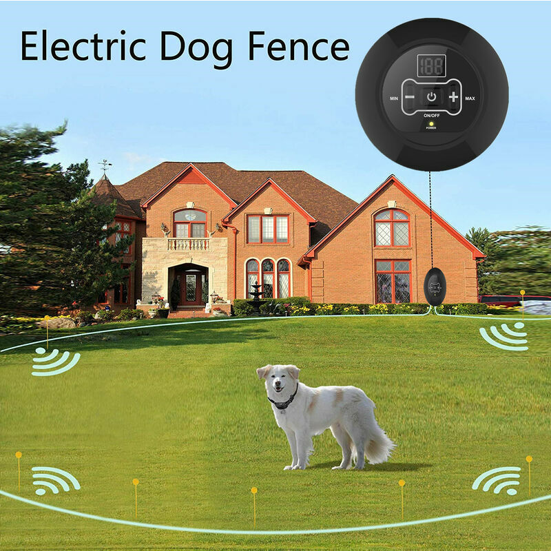 Electric dog outlet barrier