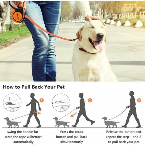 Lighted retractable 2024 dog leash