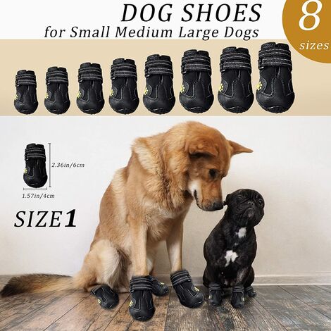 Dog sizes small medium sales large