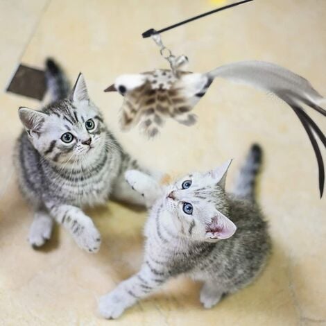 1 piece Cat Feather Toys Fishing Rod Cat Kitten and Kitty