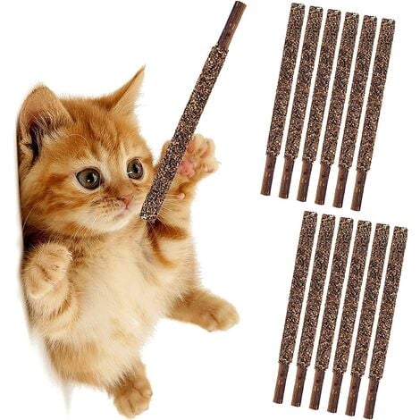 Cat dental best sale chew sticks