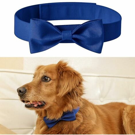 Dog 2024 neck accessories