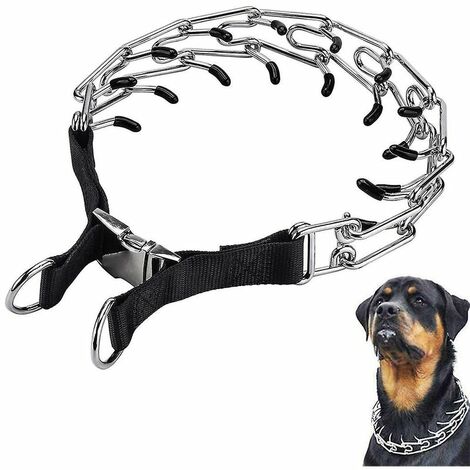 Dog best sale chain collar