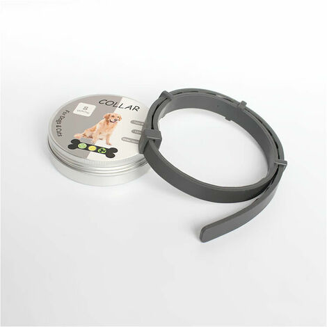 Grey flea outlet collar