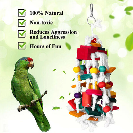 Medium shop parrot toys