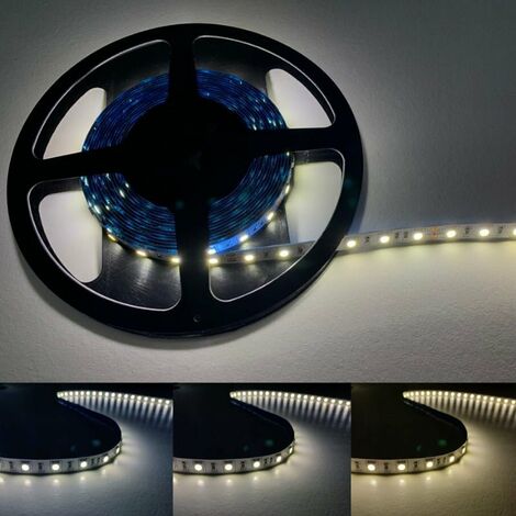 Bandeau LED 5M 24V 5050 IP20 60LED/m - Blanc Froid  - SILUMEN (1/5)