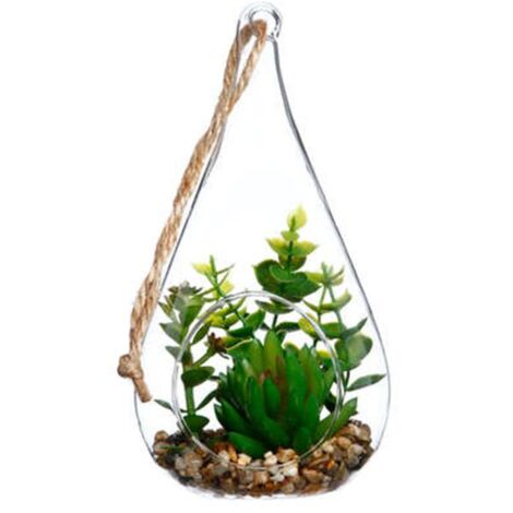 Terrarium en verre, Forme Goutte H19.5 cm - Crassulas - SILUMEN (1/3)