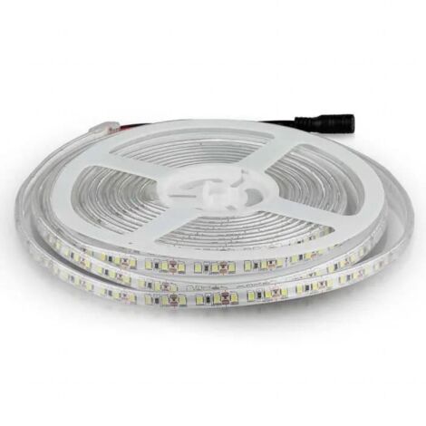 STRISCIA LED SMD3528 120 LEDS 6500K IP65 - Luce FREDDA