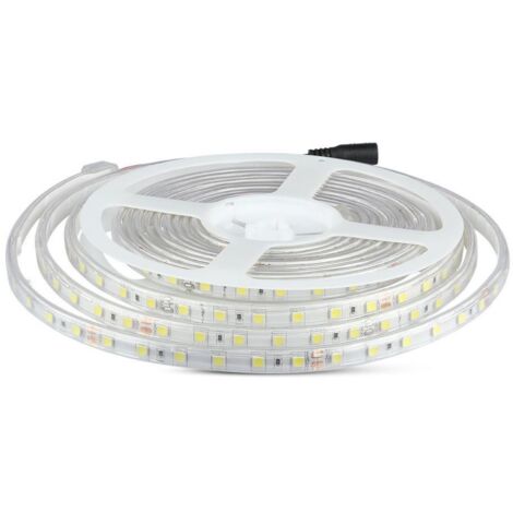 LED STRISCIA 5050 60 LEDS 24V IP65 6500K                                                                 - Luce FREDDA