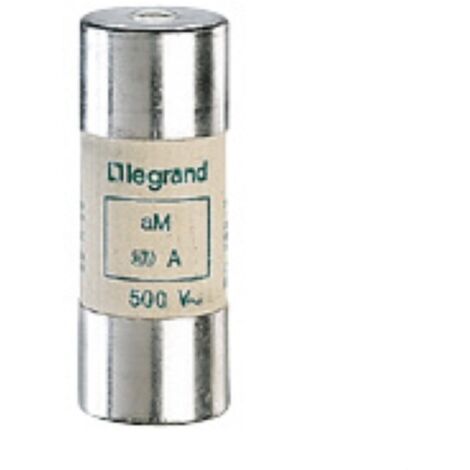Cartouche industrielle cylindrique type aM 22x58mm sans percuteur 63A LEGRAND 015063 (1/3)
