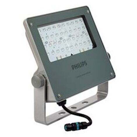 Projecteur à LED 1200 lumens 4000K – Éclairage économe en énergie pour espaces extérieurs – 455897 – Signify (1/2)