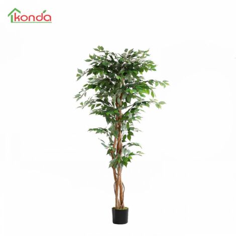 C PIANTA FICUS ARTIFICIALE 180 CM 2 PZ